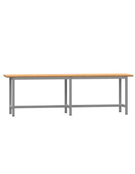 Bench for Changing Rooms and Shelters
