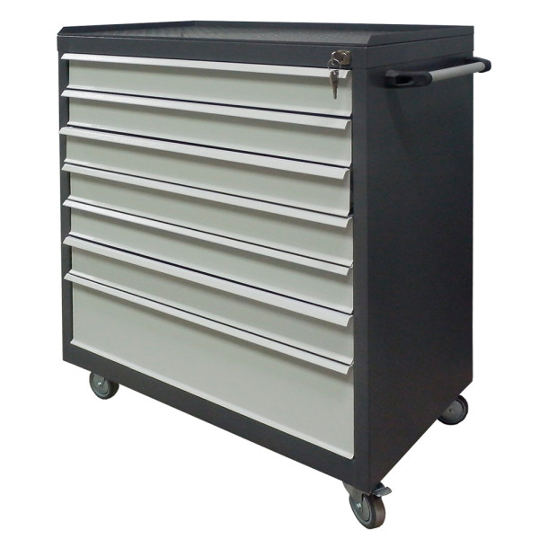 Тележка инструментальная SzwN 301-6MS Тележка инструментальная SzwN 301-6MS